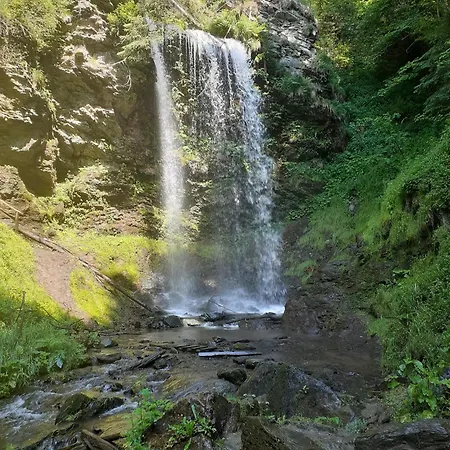 Haus Taekema Appartments