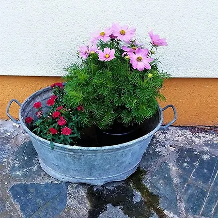 Apartment Haus Taekema Appartments Glanegg (Feldkirchen)