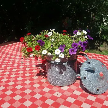 Apartment Haus Taekema Appartments Glanegg (Feldkirchen)