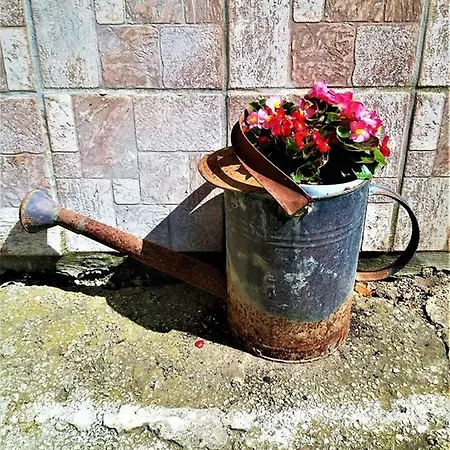 Haus Taekema Appartments Διαμέρισμα