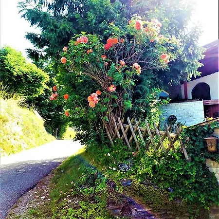 Haus Taekema Appartments Glanegg (Feldkirchen)