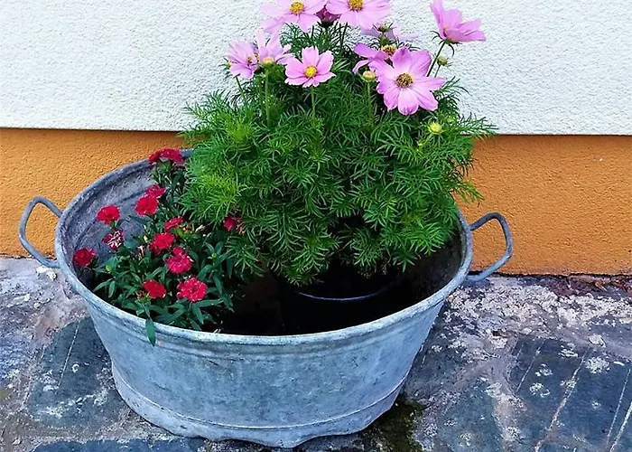 Lejlighed Haus Taekema Appartments Glanegg (Feldkirchen)