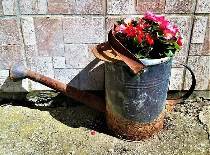 Haus Taekema Appartments Appartement